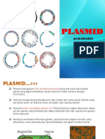 Plasmid