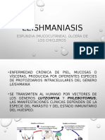 Lesmania Final