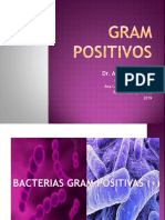 1.1 Bacterias