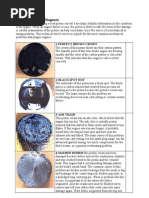 Two Stroke Piston Diagnosis