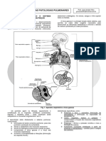 Doenças Pulmonares