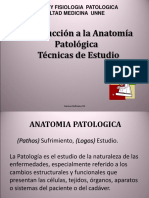 Anatomía patológica