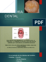 Anatomia Dental.pptx