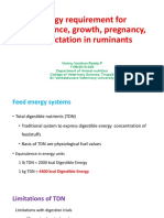 Energy Requirement For Mainteinance, Growth, Pregnancy, and Lactation in Ruminants