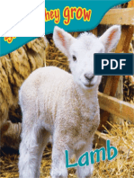 Lamb (See How They Grow) PDF