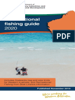 Recreational Fishing Guide