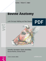 Bovine Anatomy An Illustrated Text 2nd Edition PDF