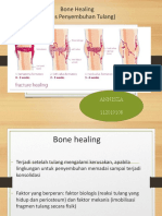 Bone Healing Ortopedi