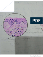 Histopathology 20