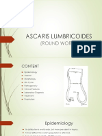 Ascaris Lumbricoides