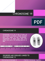 Chromosome 19 Disorders and Diseases Guide