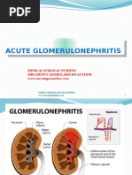 Acute Glomerulonephritis Overview | PDF | Kidney | Medical Specialties