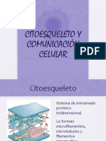 Citoes y Comunicelular PDF