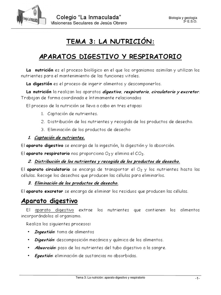 BYG 3 Esquema Del Tema 03 PDF | PDF | Digestión | Sistema digestivo humano