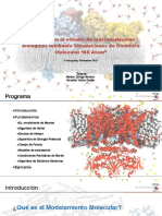 Dinamica Molecular Resumen