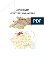 Monografia orașului Baia Mare..pdf