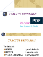 ANATOMI_TRAKTUS_URINARIUS.pptx