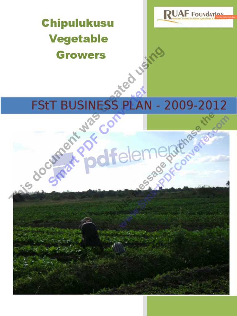 tomato farming business plan zimbabwe