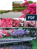 JAPAN Ashikaga - flower park