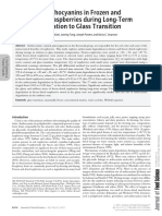 Stability of Anthocyanins in Frozen 