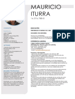 Mauricio Iturra Curriculum