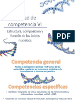 Unidad VI. Estructura, Composición y Función de Los Ácidos Nucleicos