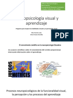 2.1 Neuropsicología visual y aprendizaje-P Martin Lobo y S. Pradas.pdf