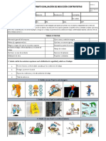 Formato de Induccion y Reinduccion PDF