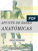 Anatomia 2019 Final (Por Ambos Lados) .PDF Versión 1