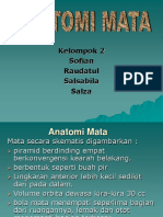 Anatomi Mata Manap