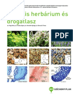 2011-0016 05 Herbarium Es Drogatlasz