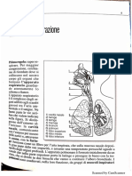 CORSO RAPIDO DI DIZIONE NEW.pdf