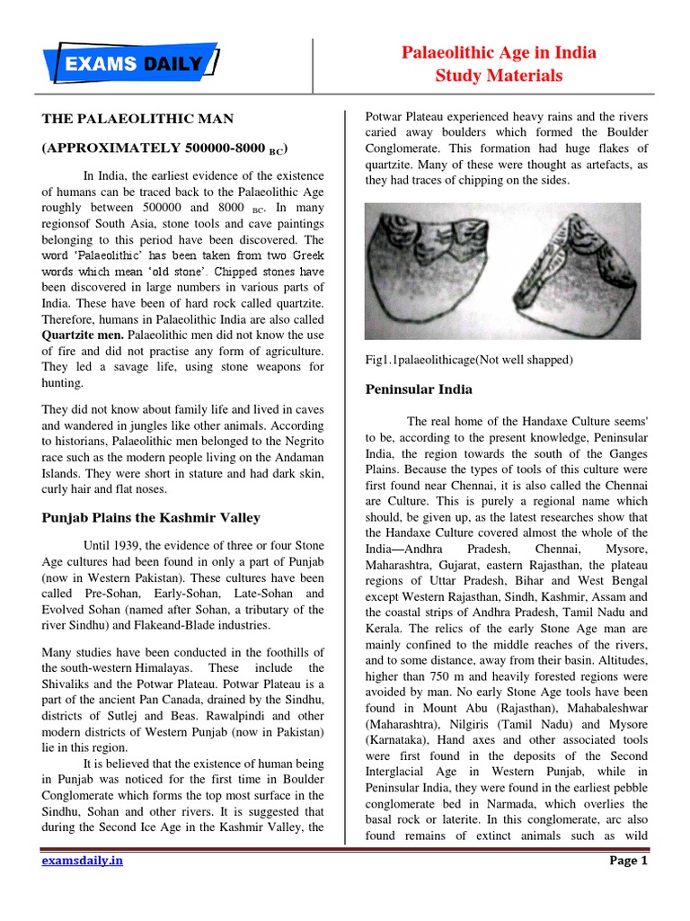 Overview of Palaeolithic Age in India | PDF | Paleolithic | Pleistocene