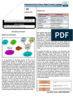 Actividad 10-Conociendo los Protocolos de redes ISO