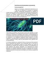 Resistencia en Pseudomonas Aeruginosa