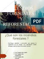 INCENDIOS-FORESTALES_0 (1).pptx