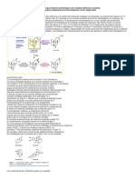 Articulo Organico Traducido