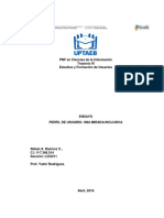 Ensayo Perfil de Usuarios Una Mirada Inclusiva