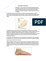 Articulación Talocrural