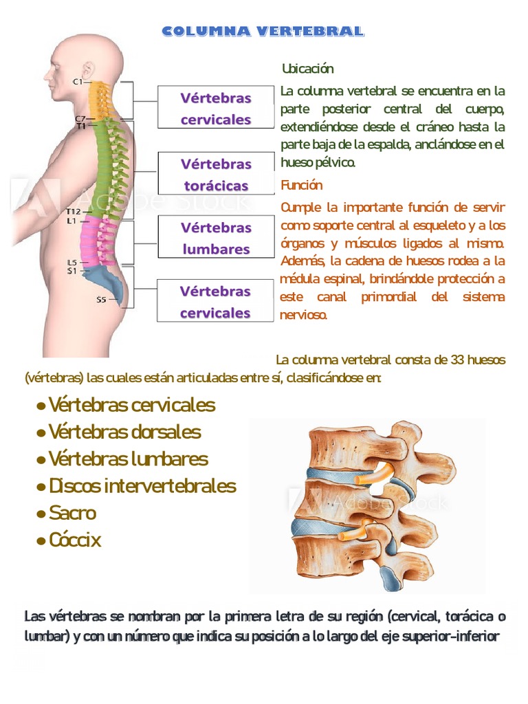 Columna | PDF, image size:768x1024