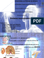 Sistema Neuroendocrino