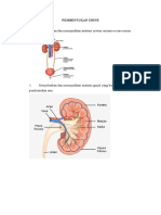 CEKLIST PEMBENTUKAN URINE.rtf