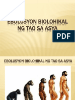 Ebolusyon Biolohikal