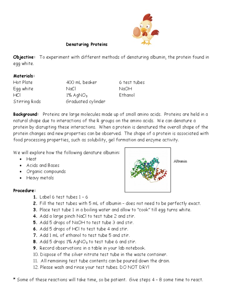 Denaturing Proteins | PDF | Denaturation (Biochemistry) | Proteins