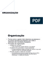 Organizar e Dirigir