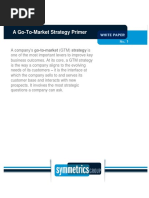 Go To Market Strategy Whitepaper Final