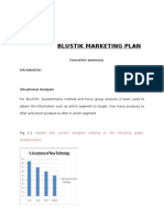 Blustik Marketing Plan: Executive Summary