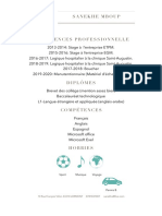 CV Élégant New PDF