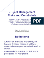 PM-Risks-and-Constraints.ppt