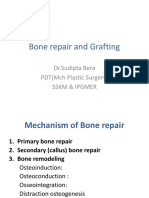 Bone repair and Grafting